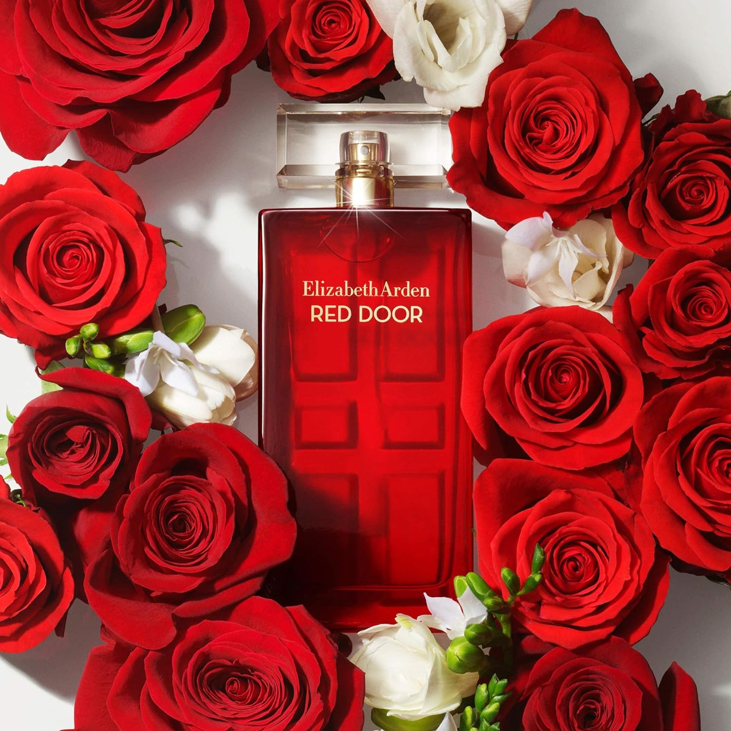 Elizabeth Arden Red Door Eau de Toilette Spray for Women